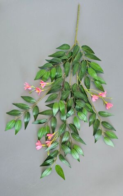 Рускус цветущий / Арт 1223