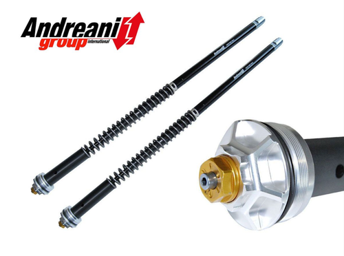 115/D01E ANDREANI EVOLUTION HYDRAULIC CARTRIDGE (Panigale)
