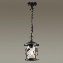 Уличный подвесной светильник Odeon Light 4963/1