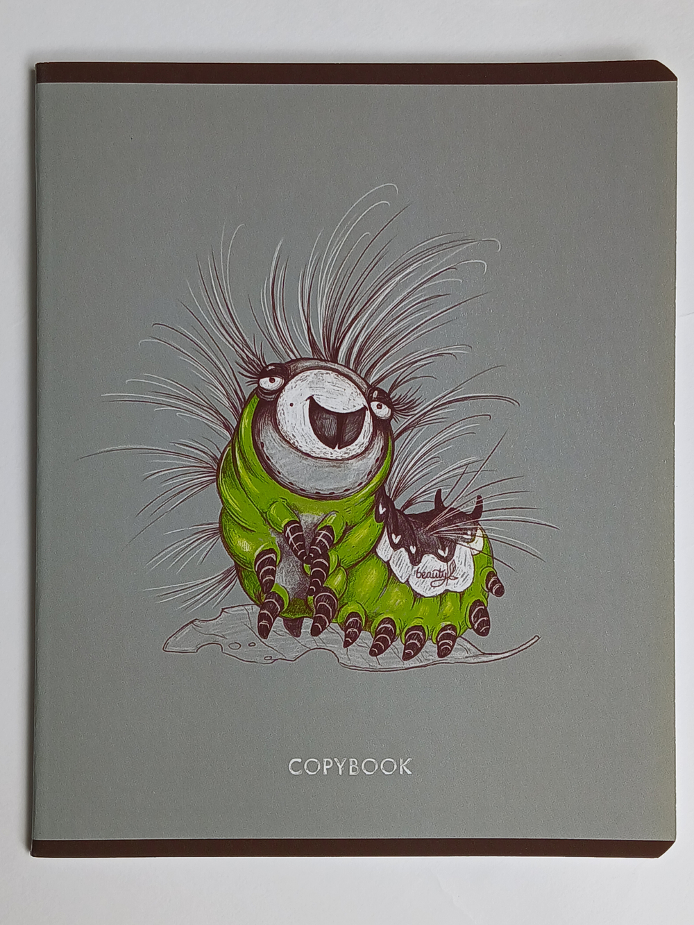 Тетради 48 листа А5+. "Сарказм", общая, клетка. Формат А5+ (163*203 мм). Арт.120014. С полями. Комплект 5 шт.