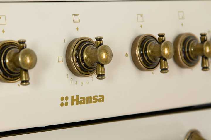 Газовая плита Hansa FCGY62109
