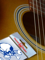 Стикеры - Синяя черепушка Череп с костями