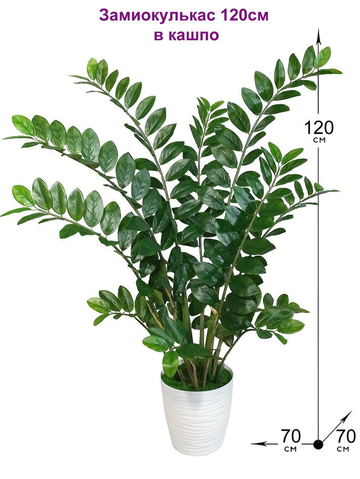 купить искусственный замиокулькас