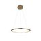 Подвесной светодиодный светильник Loft IT Ring 10014M