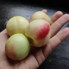 Нектарины мини белые свежие / 500 гр