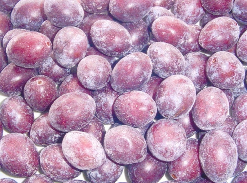 Слива с косточкой, фасовка по 1кг, цена за 1кг