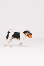 Мяч-гиря 7,7 см M-Pets