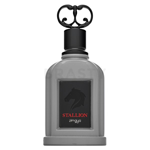 Zimaya Stallion EDP M 100 ml