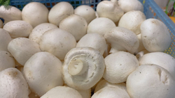 Свежие овощи и фрукты