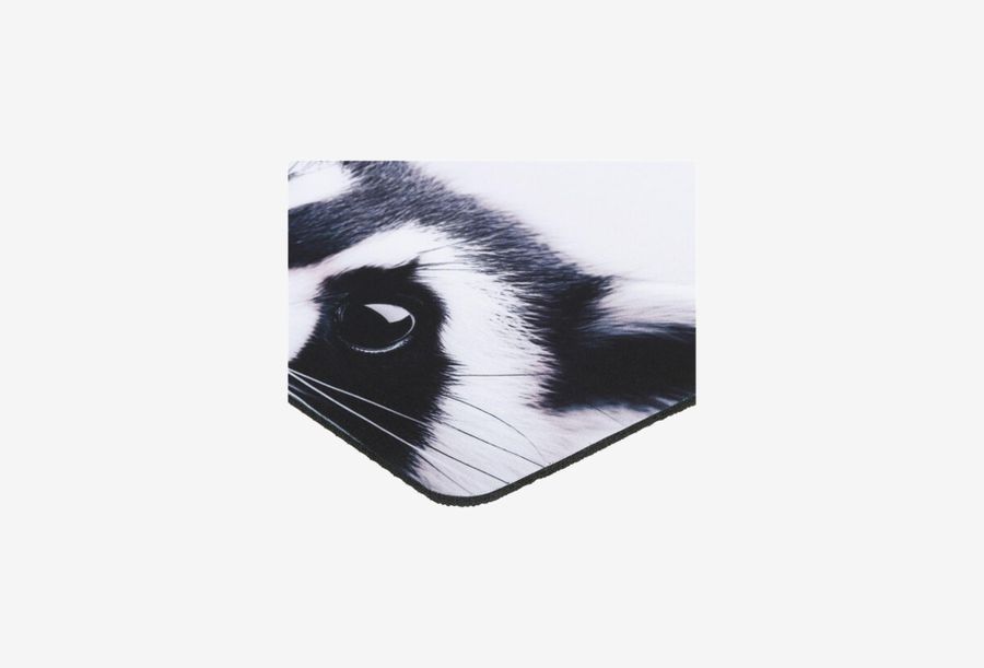 Aceline Racoon OM-XS_0326526101604