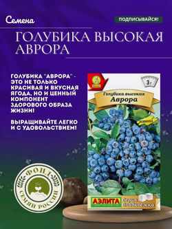 Голубика, Аврора, Семена Ягод, 0.01 гр.