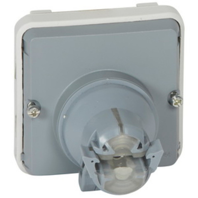 Адаптер для розетки RJ 45 LCS2 IP55 Plexo Legrand (069581)