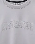 Купить Толстовка Anteater Crewneck BigText серая Толстовка Anteater Crewneck BigText серая