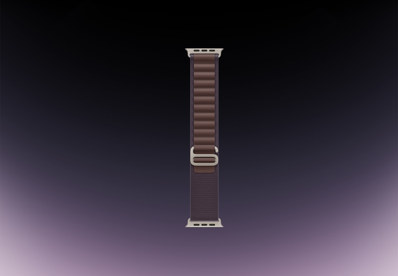 Часы Apple Watch Ultra 2 GPS + Cellular 49 мм, титановый корпус, ремешок Alpine Фиолетового цвета,размер M