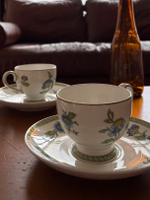 Чайная пара Heinrich Villeroy & Boch, Columbia
