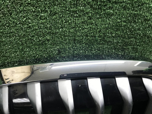 Решетка радиатора BMW X7 G07 (2019-2022)