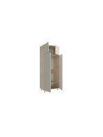 Шкаф распашной 80х50х210 с антресолью Birmingham 4