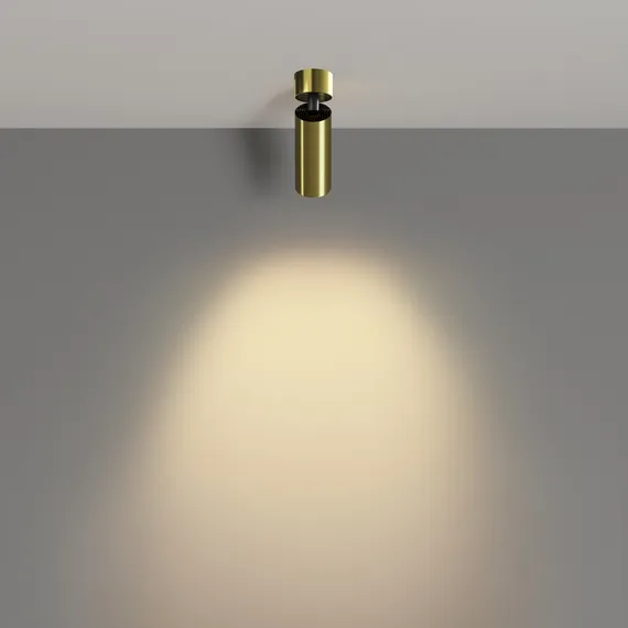 Потолочный светильник Technical C055CL-L12W2.7K-W-BS