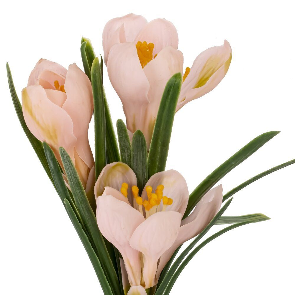 GAEM Цветочная композиция "Крокусы", L12 W12 H28 см