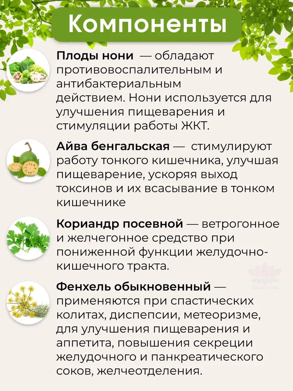 Тайские капсулы для иммунитета Нони (Моринда)