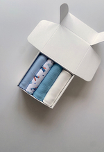 Набор пеленок "Воздушный транспорт M new"