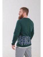 Лонгслив Rage The Eagle green-white арт. HY26462