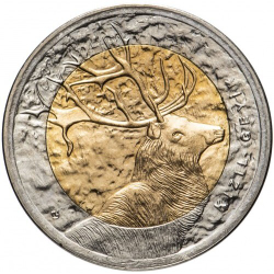 Благородный олень