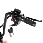 ЭЛЕКТРОСКУТЕР CITYCOCO GT X5 TRIKE 1500W 15AH 48V Красный