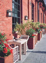 Уличный настенный светильник Outdoor O031WL-01BR