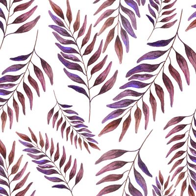 тропические листья