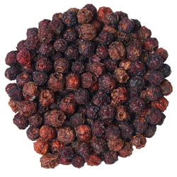 Боярышник Алтайский "Лесной"