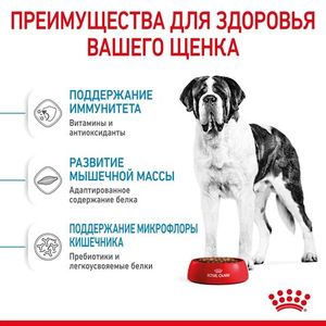 Корм для щенков очень крупных размеров с 8 месяцев, Royal Canin Giant Junior