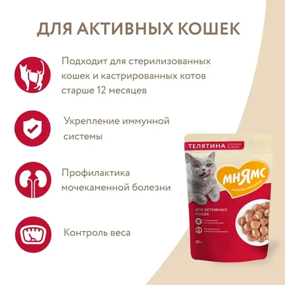 Пауч Мнямс для активных кошек, кусочки в соусе с телятиной Пауч Мнямс для активных кошек, кусочки в соусе с телятиной