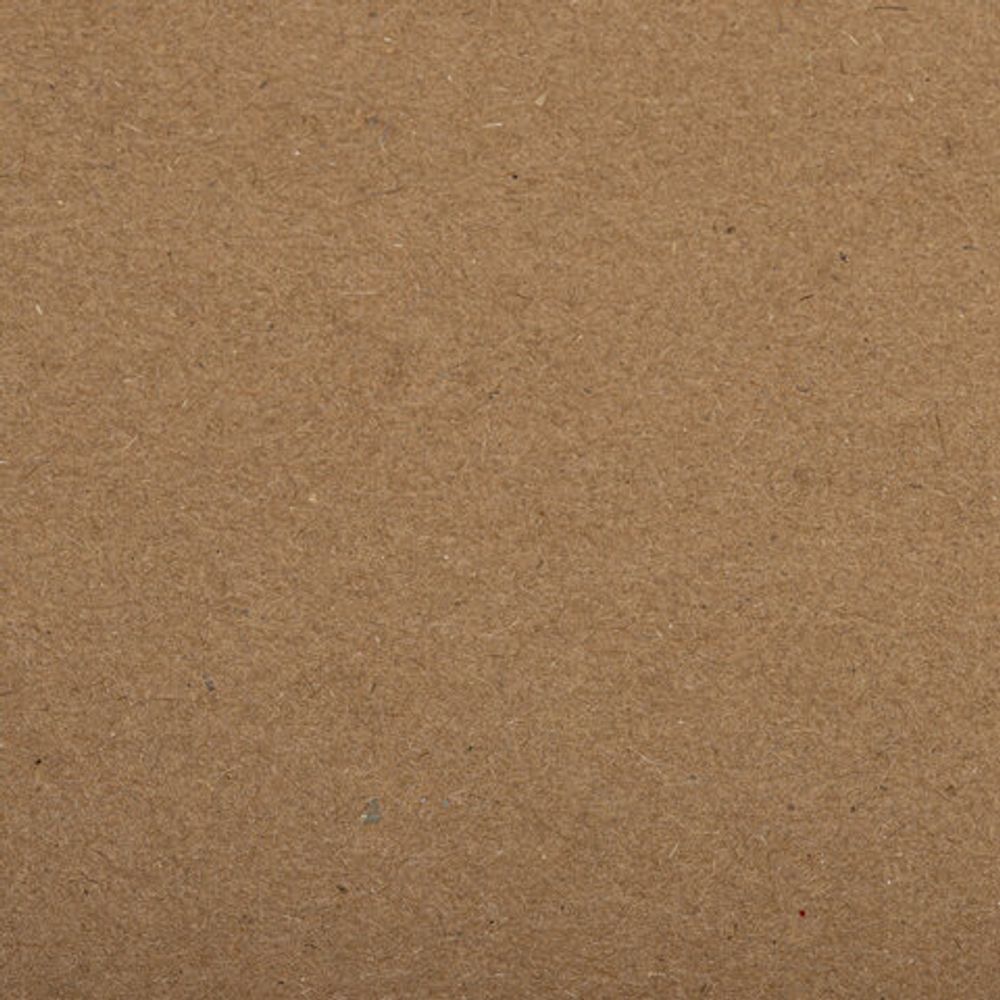 Скетчбук крафт-бумага 80г/м2, 205х290мм, 50л, склейка, жёсткая подложка, BRAUBERG ART DEBUT,112489