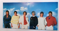 Jacksons Victory (Japan 1984)