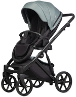 Детская коляска Riko Basic Montana 3 в 1 51 Green (зеленый)