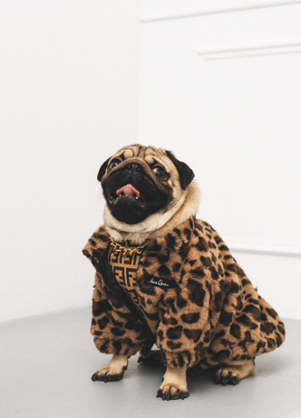 Эксклюзивные и роскошные! Новые модели