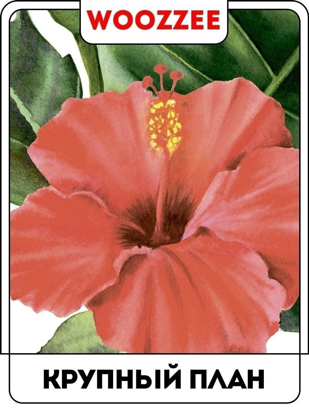 Наклейка декоративная "Цветы и колибри"