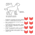 AJO (Айо) Dog Medium Adult Сухой полнорационный корм с гречкой для взрослых собак средних пород