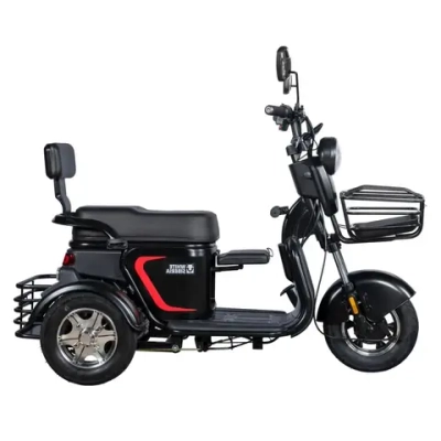 Электротрицикл White Siberia Sibtrike L 2000W городской