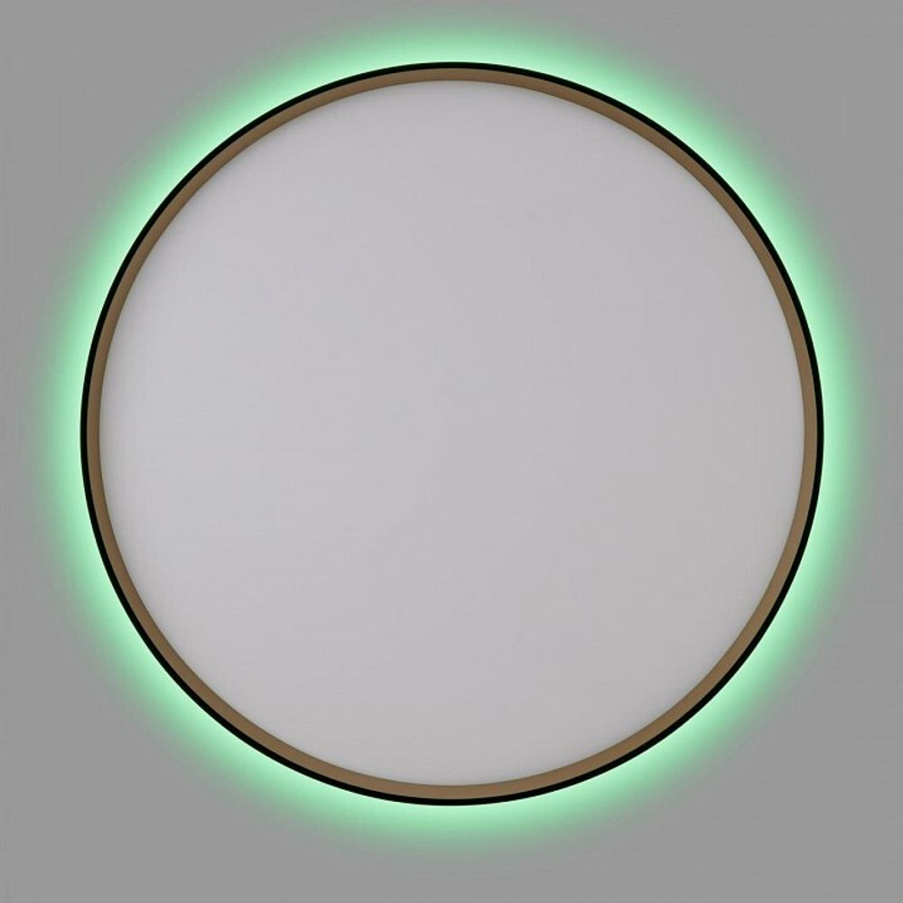 Накладной светильник Citilux ETALON CL750501R