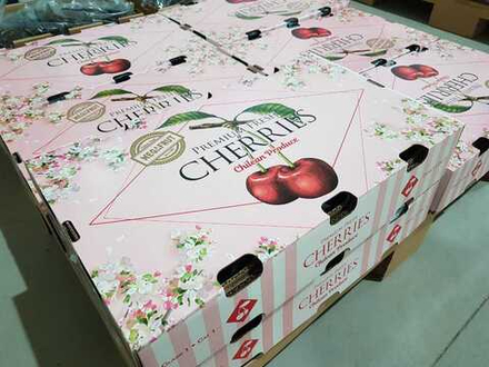 черешня чилийская сорт Bing, lapins ,Van.