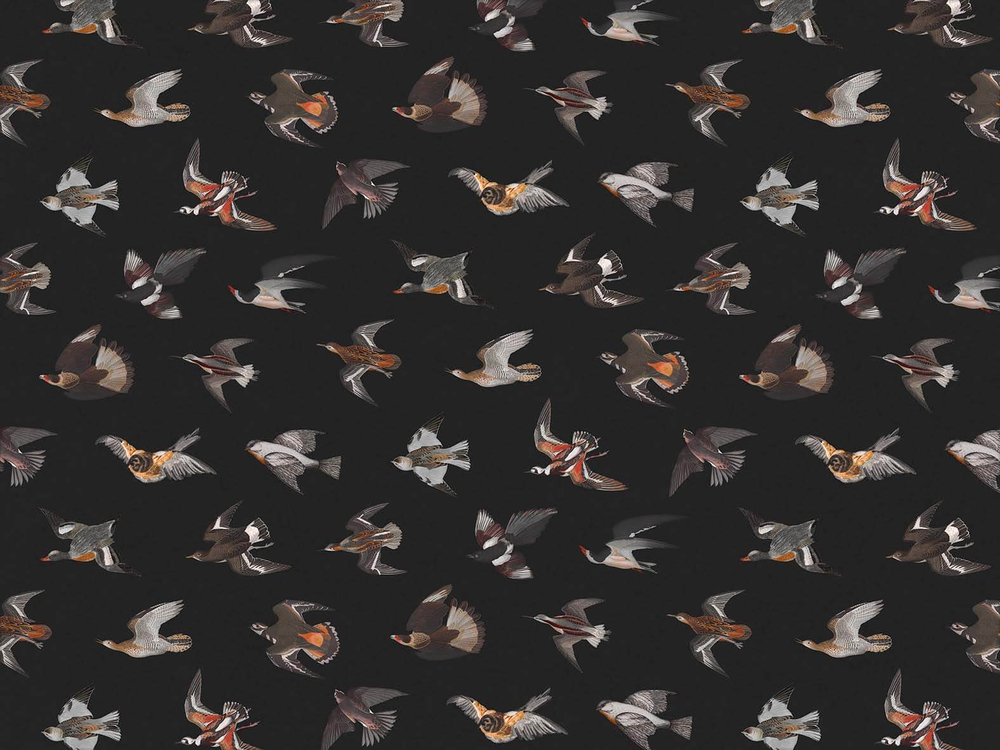 Дизайнерские обои Wall Street Eden-21