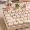 LOFREE Touch Tofu100 Beige OE913 RU