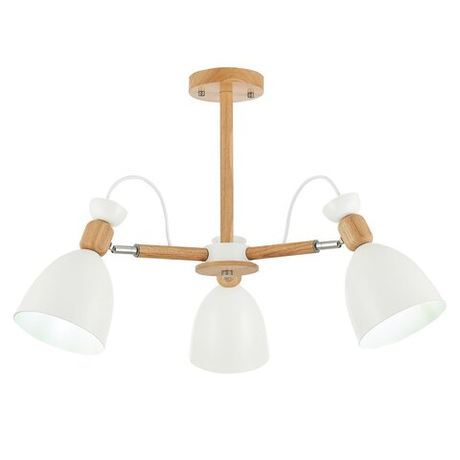 Светильник потолочный Evoluce Balcamo SLE103802-03