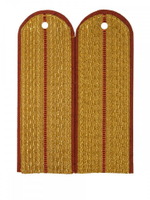 Погоны парадные золотые металлизированные МЧС один просвет