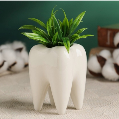 Кашпо Зуб мудрости