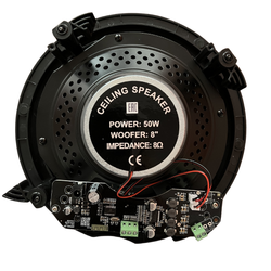 SVS Audiotechnik SCP-50 BT Активный акустический потолочный комплект со встроенным усилителем и BT