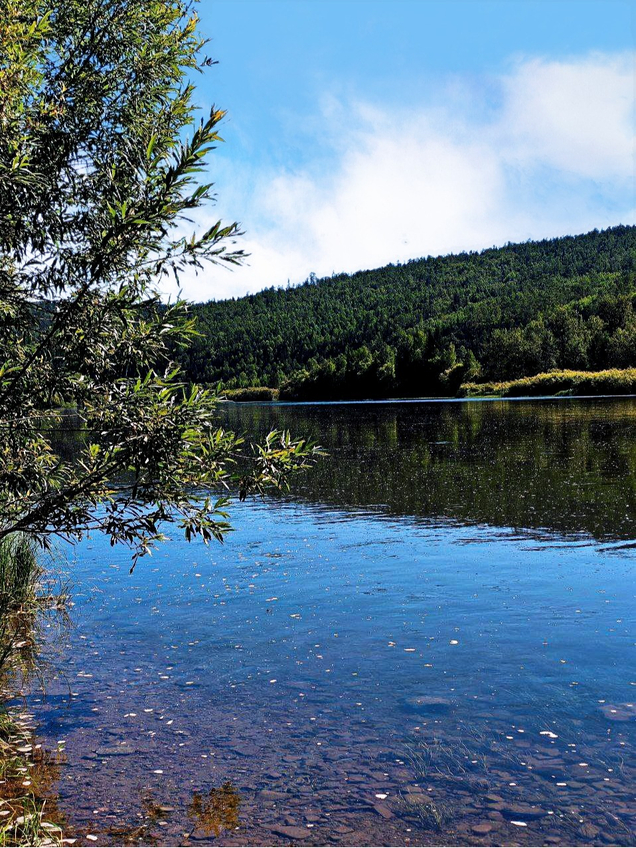 " СЕТЬ И ВЫСТРЕЛ "