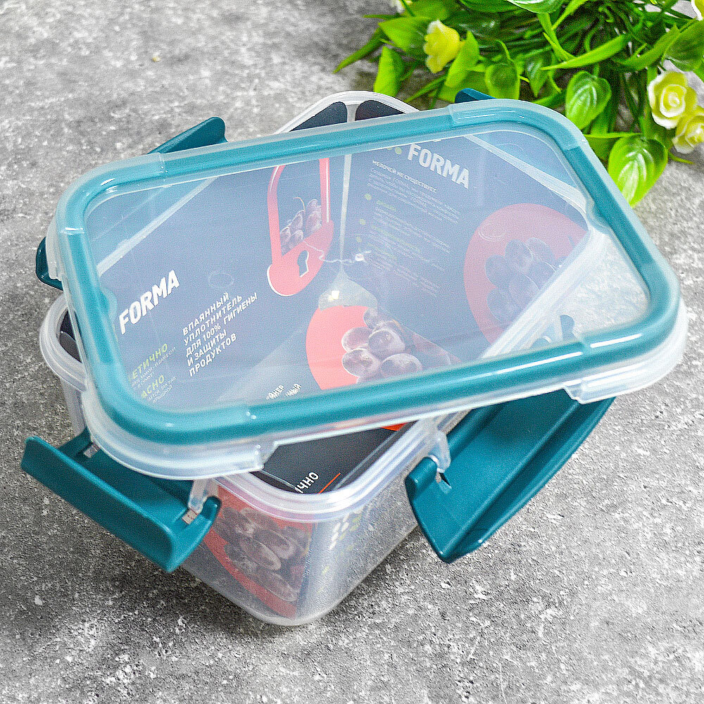 Контейнер 0,75л герметичный "Butterfly bright" (хвоя)